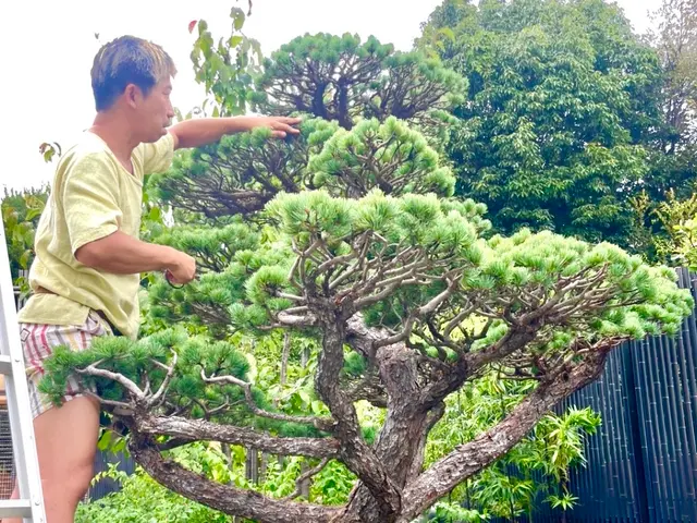 おしゃれに可愛くできますよ！手入れの仕方により全く違うお庭にすることができます。サービスの画像