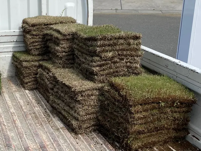 お庭を天然芝へサービスの画像