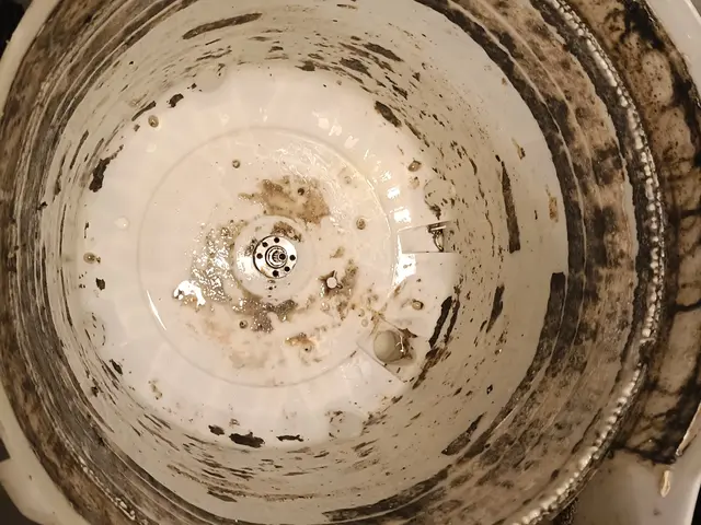 他サイトでの経験豊富で高評価。くらしのマーケット初参入！徹底的に丁寧に！サービスの画像