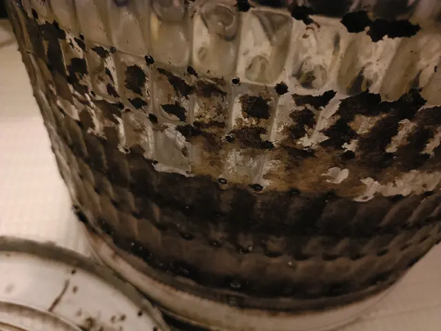 他サイトでの経験豊富で高評価。くらしのマーケット初参入！徹底的に丁寧に！サービスの画像