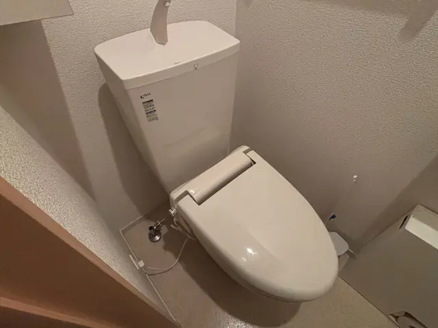 【保険加入済！】お気軽にご相談ください！！サービスの画像