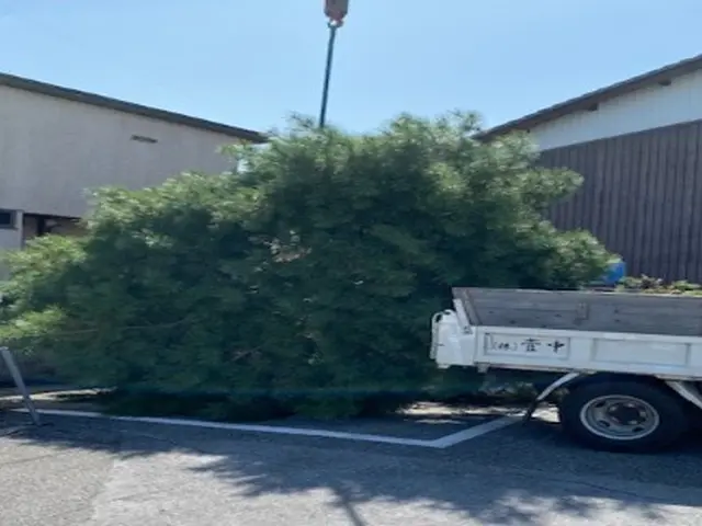 《業歴50年の実績》庭木の伐採・抜根なら当社におまかせください！サービスの画像