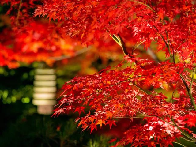 【一瞬の出来事を一生の想い出に】ご家族・お子様の写真撮影します◎