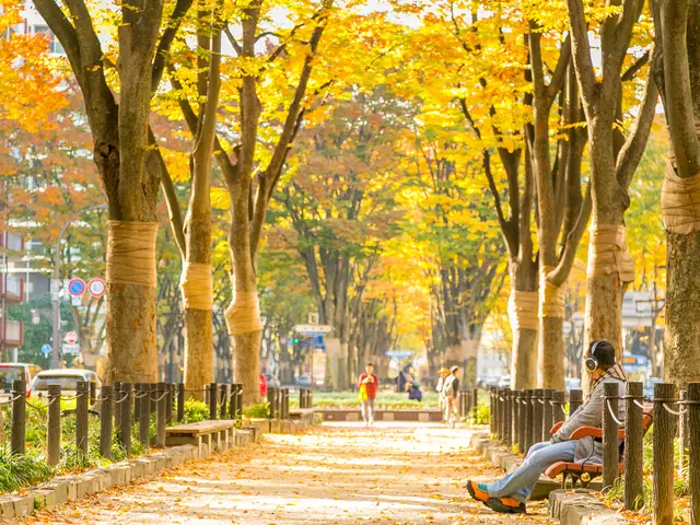 【一瞬の出来事を一生の想い出に】ご家族・お子様の写真撮影します◎