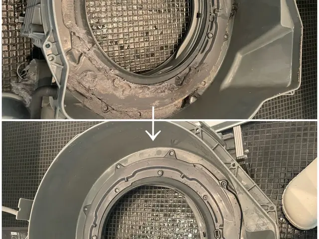 安心の洗濯機クリーニング【大手メーカー勤務実績有り◎】オーガニック洗剤使用♪サービスの画像