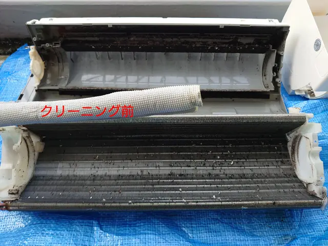 【業歴30年以上の経験】見えない奥までカビを洗浄、消臭して健康被害を低減します！サービスの画像