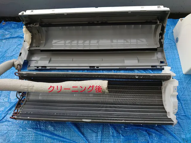 【業歴30年以上の経験】見えない奥までカビを洗浄、消臭して健康被害を低減します！サービスの画像