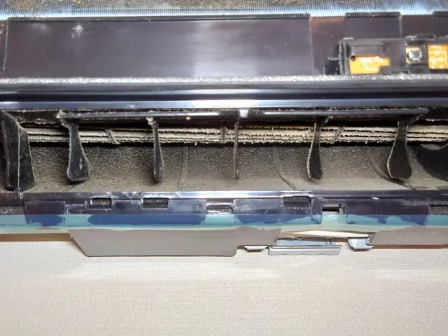 【業歴30年以上の経験】見えない奥までカビを洗浄、消臭して健康被害を低減します！サービスの画像