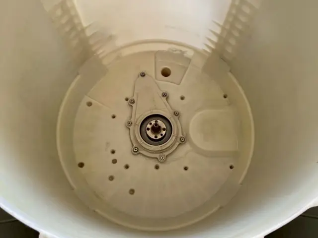 4月スタート！洗濯槽クリーニングサービスの画像