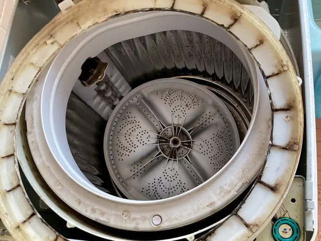 4月スタート！洗濯槽クリーニングサービスの画像