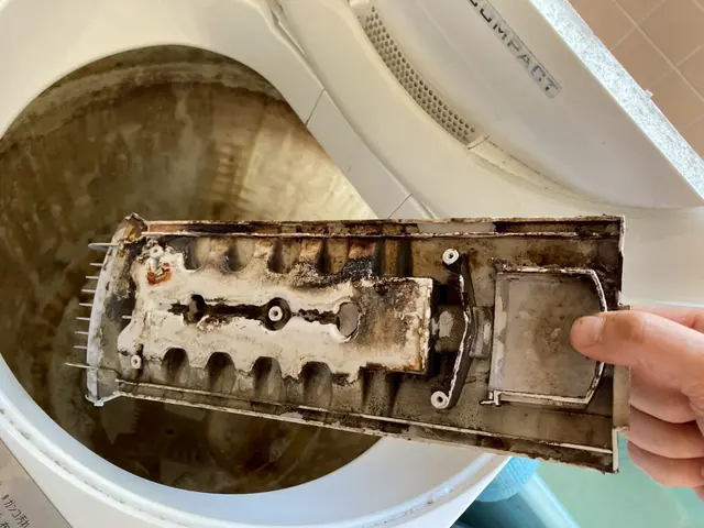 4月スタート！洗濯槽クリーニングサービスの画像