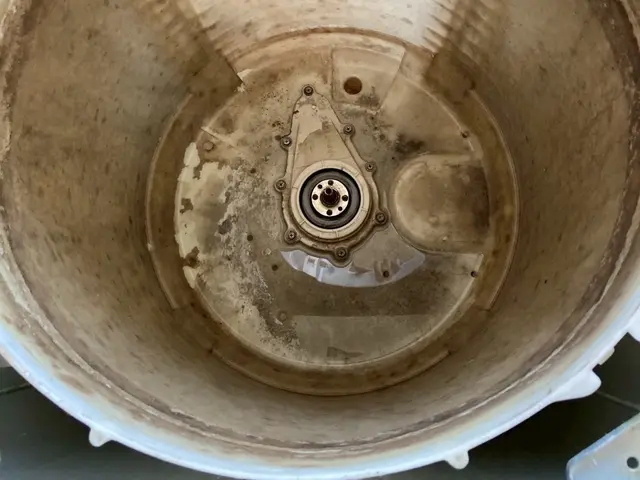 4月スタート！洗濯槽クリーニングサービスの画像