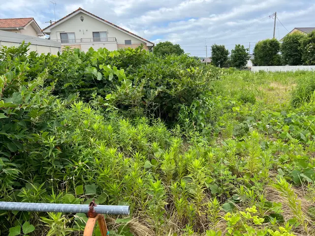蜂の巣・害虫駆除・草刈り・不用品回収お困りごとをスッキリ解決！サービスの画像