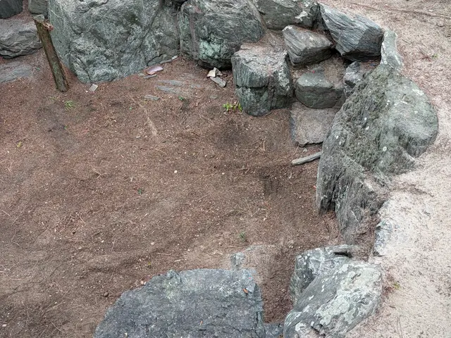 【緑を撲滅します】＊2名作業＊手作業ならではの丁寧な作業＊若い作業員＊準備不要サービスの画像