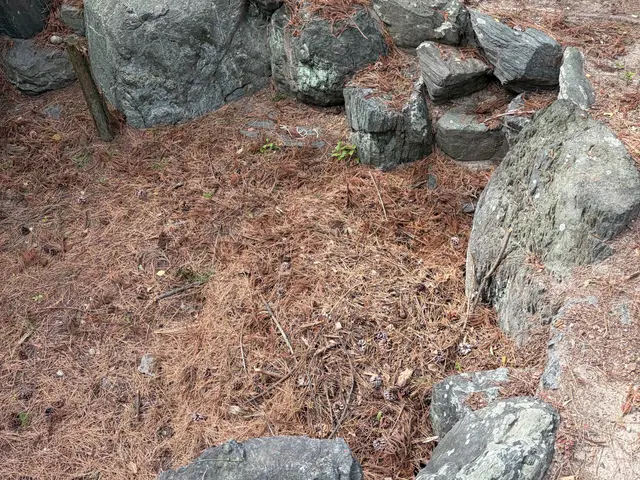 【緑を撲滅します】＊2名作業＊手作業ならではの丁寧な作業＊若い作業員＊準備不要サービスの画像