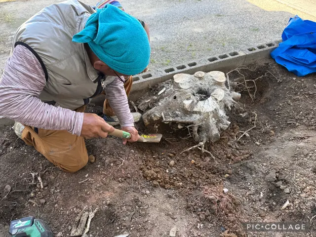 【伐採・抜根、一本から】特に、抜根の仕事の達成感と充実感は癖になります。サービスの画像