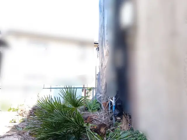 【伐採・抜根、一本から】特に、抜根の仕事の達成感と充実感は癖になります。サービスの画像