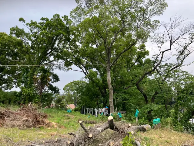 【伐採・抜根、一本から】特に、抜根の仕事の達成感と充実感は癖になります。サービスの画像