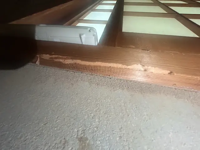 キクイムシ放置してませんか？繁殖すると大変です。一度ご相談下さい。サービスの画像