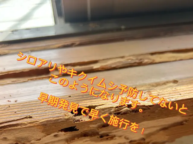 キクイムシ放置してませんか？繁殖すると大変です。一度ご相談下さい。サービスの画像