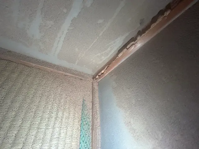 キクイムシ放置してませんか？繁殖すると大変です。一度ご相談下さい。サービスの画像