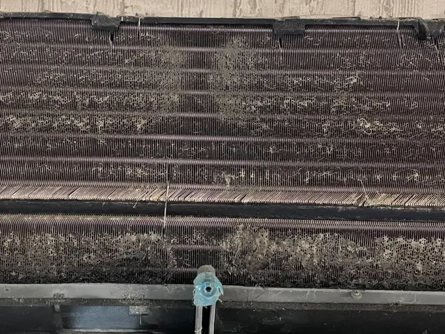 ★複数台がお得！1台9,900円★ｴｺ洗剤使用★サービスの画像