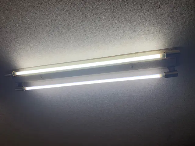 【蛍光灯掃除】高所も可能！長年の誇りやヤニ改善させて頂きます。サービスの画像