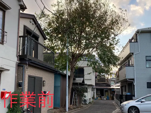 伐採後、新芽を出さない薬剤処理サービス！【2024顧客満足賞】サービスの画像