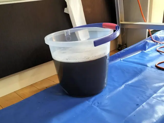 ★女性スタッフ完全同行★安心安全なエコ洗剤使用＆消臭抗菌コートもコミコミ価格✩サービスの画像