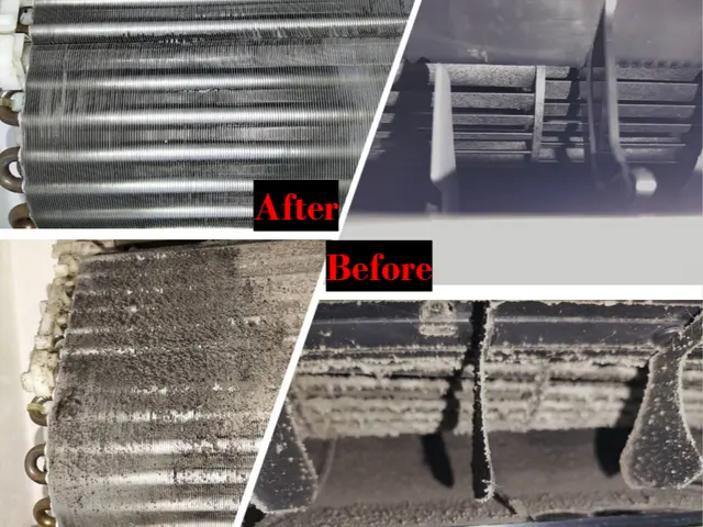 ★女性スタッフ完全同行★安心安全なエコ洗剤使用＆消臭抗菌コートもコミコミ価格✩サービスの画像