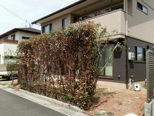 ☆お庭・アパート・店舗などの生垣剪定　お任せください！　損害保険加入済みで安心◎サービスの画像