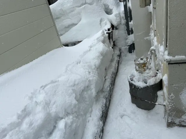 【複数人で迅速対応】積雪.雪害でお困りの方はこちらがオススメ！サービスの画像
