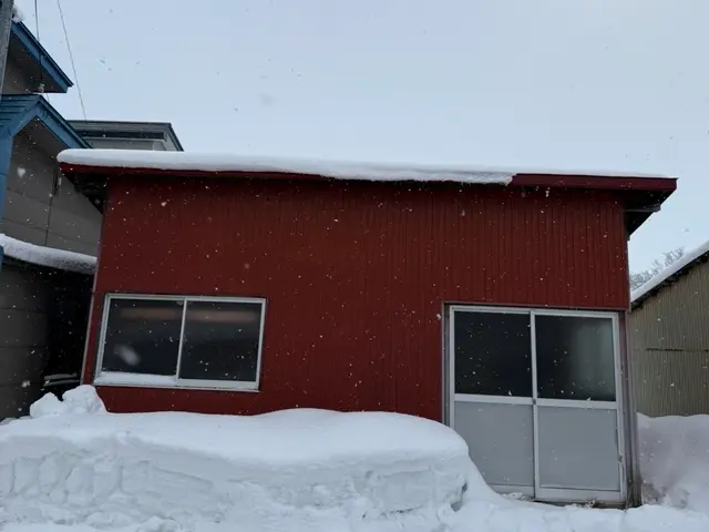 【複数人で迅速対応】積雪.雪害でお困りの方はこちらがオススメ！サービスの画像