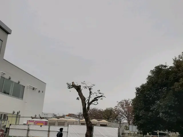 【豊富な経験と実績あり】営業時間外も相談可◎笑顔と感謝を忘れずに対応いたします！サービスの画像