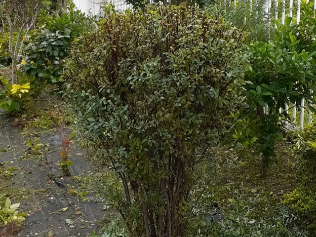 【豊富な経験と実績あり】営業時間外も相談可◎笑顔と感謝を忘れずに対応いたします！サービスの画像