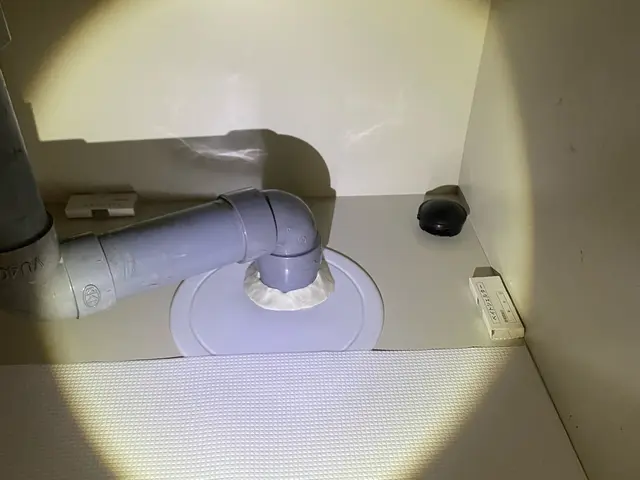 《害虫駆除の国家資格保有者が対応》◎大手との差はありません◎女性スタッフ同行可サービスの画像