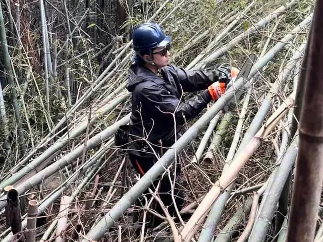 庭木の処分に困ったらUGへ！伐採・抜根おまかせ便サービスの画像