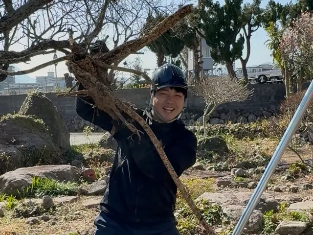 庭木の処分に困ったらUGへ！伐採・抜根おまかせ便サービスの画像