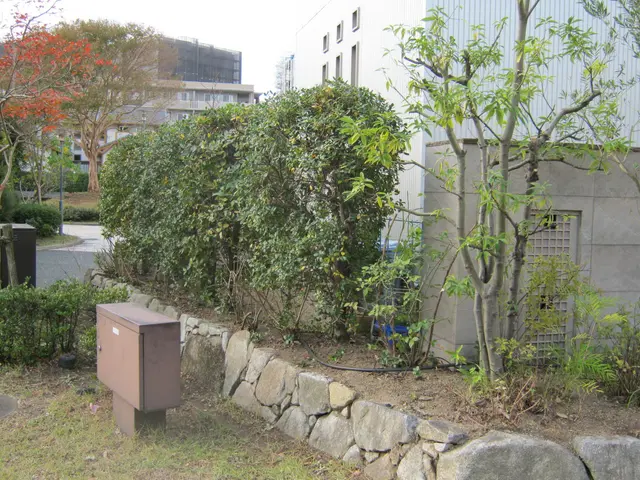 ★「風通し」の良い快適なお庭を！　★お客様の「動線」が大切です！サービスの画像