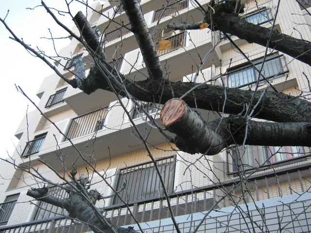 ★「風通し」の良い快適なお庭を！　★お客様の「動線」が大切です！サービスの画像