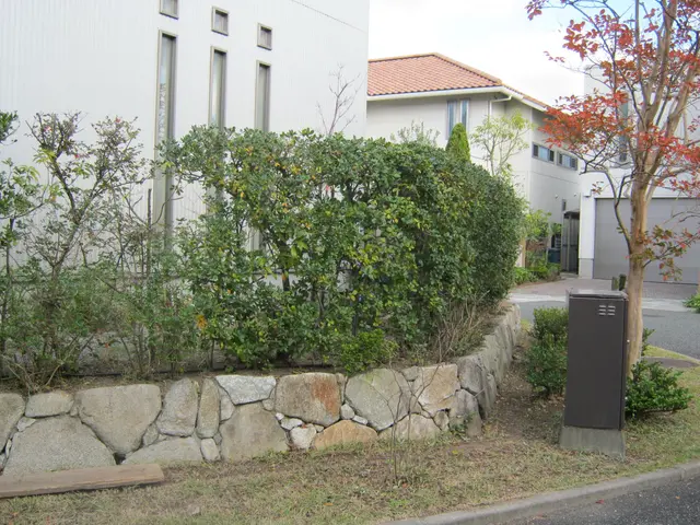 ★「風通し」の良い快適なお庭を！　★お客様の「動線」が大切です！サービスの画像