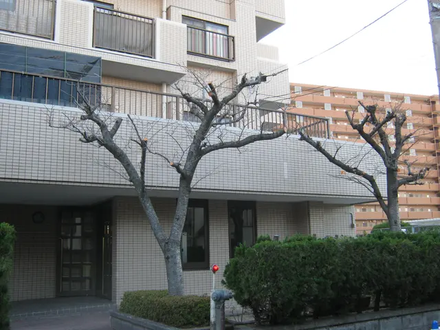 ★「風通し」の良い快適なお庭を！　★お客様の「動線」が大切です！サービスの画像