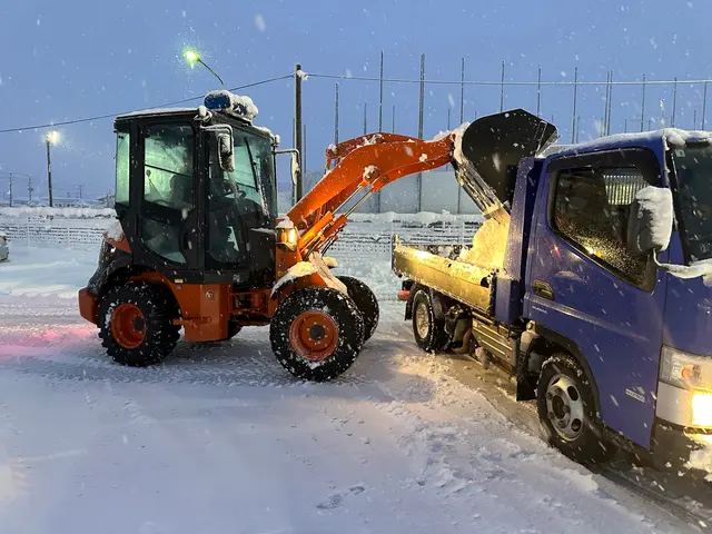 手作業はもちろん、除雪機、小型タイヤショベル有ります！排雪は2tダンプ有り。サービスの画像