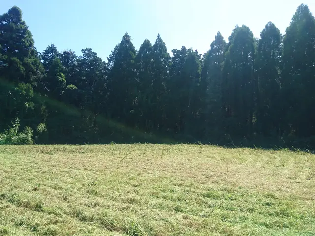 ☆小さな面積から大規模草刈りまで幅広く対応致します！サービスの画像