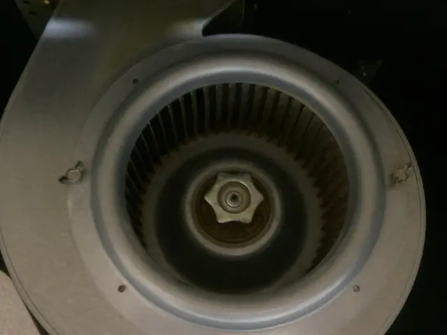 年末大掃除に向けての水周りクリーニングはいかがですか？迅速丁寧に作業いたします！サービスの画像