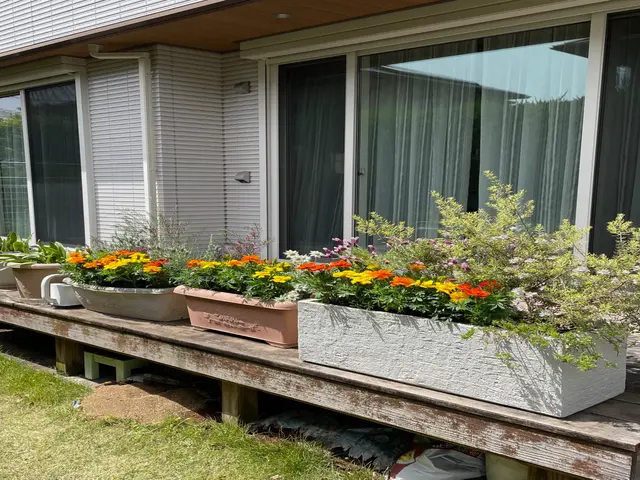 プロの技術でご満足いただけるように心を込めて作業いたしますサービスの画像