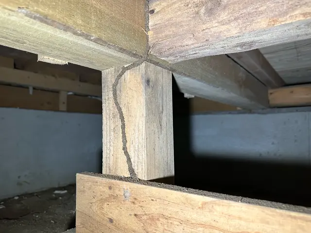 【損害保険完備】大手並みの高品質を、お手頃価格で！安心・安全に家を守ります◎サービスの画像