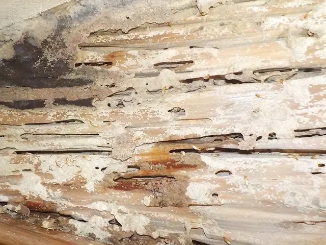 【損害保険完備】大手並みの高品質を、お手頃価格で！安心・安全に家を守ります◎サービスの画像