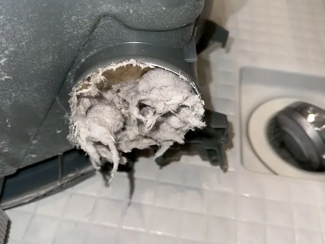 【ドラム式洗濯機分解洗浄】溜まった汚れ誇りを徹底除去！乾燥機能も復活します！サービスの画像