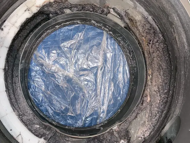 【ドラム式洗濯機分解洗浄】溜まった汚れ誇りを徹底除去！乾燥機能も復活します！サービスの画像